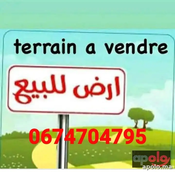 هكتار ونص محفظة مسجلة صالحة للبناء فيلا أو سكن او مشروع فلاحي 